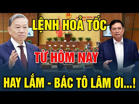 Tin tức Việt Nam mới nhất ngày 11/09/2025 I Tin Nóng Chính Trị Việt Nam và Thế Giới #tuvisomenh