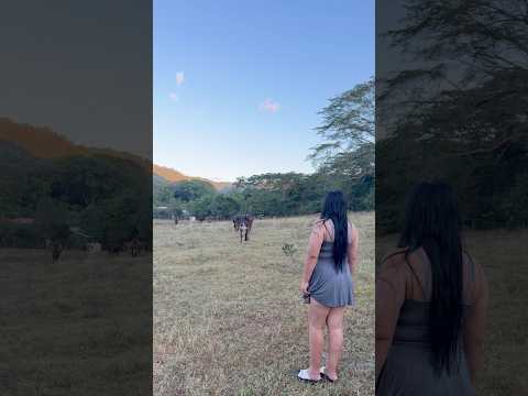 La vida del CAMPO