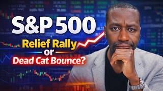 S&P 500 Relief Rally or Dead Cat Bounce? What Investors Need to Know