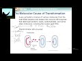 Genetic Material and Transformation Concepts
