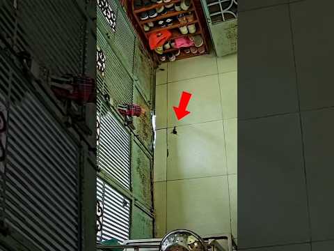 Sebuah Kejadian Unik Terekam Kamera CCTV #cctv #kucing #kucinglucu