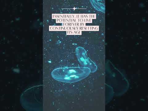 Mesmerizing Jellyfish A Journey into the Deep  #amazingfacts #didyouknow #globalfacts