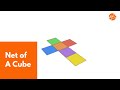 Properties and Nets of Cubes