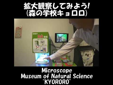 もっと拡大！観察しよう！昆虫の体の仕組み！森の学校キョロロ ≫ 加藤英明【公式】かとチャン