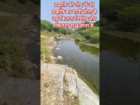 #trendingshorts प्रकृति का शुद्ध निर्मल पानी बहता कल कल करता सुंदर नजारा