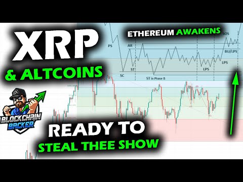 ON THE MOVE, Altcoins Take Lead with Bitcoin Price Chart Stall, XRP and Dominance Shift