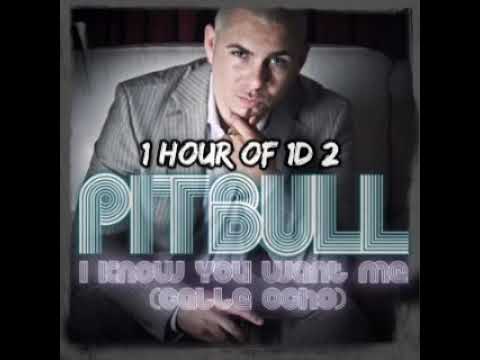 Pitbull - I Know You Want Me (Calle Ocho) 1 HOUR