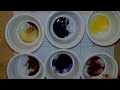 Testing for Starch and Glucose
