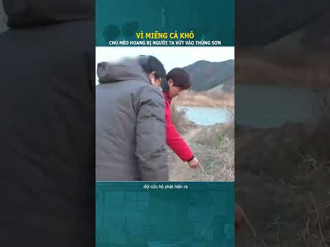 Chú mèo bị vứt vào thùng sơn