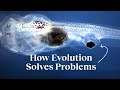 Understanding Evolution and Biological Competency