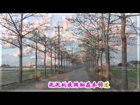 木棉道-伴奏曲