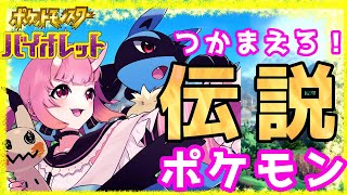 【 #ポケモンSV】今日も伝説捕まえます！【 Vtuber  /  鬼神イヨ 】