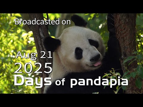 20250821 Broadcast Top Highlights 14