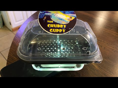 Mystery Snail Hatchery Quick tutorial on making your own hatchery to greatly improve success rates.

Completed Project!
htt