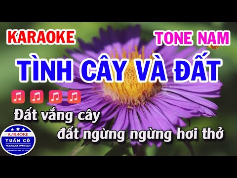 Karaoke Tình Cây Và Đất Tone Nam Nhạc Sống