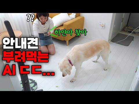 AI에게 제대로 당한 천재 강아지 하얀이의 견생 최대위기