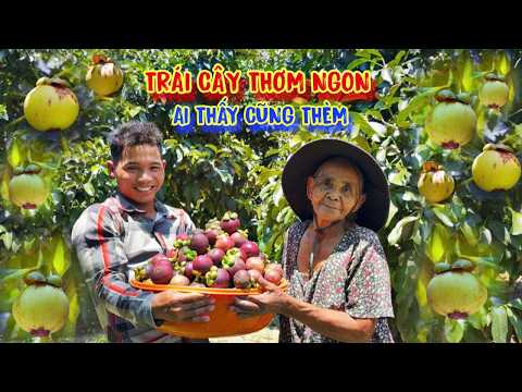 ĐI TÌM cây giống đặc biệt giúp người nghèo trồng trọt VƯỢT KHÓ - tập 1786