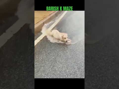 baarish k maje  #viral #viralvideo​ #viralshorts​ #viralshort​ #video​ #youtubeshorts​ #youtube​