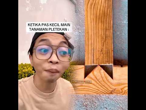 DRAMA Adinsyach, Pas kecil main tanaman pletekan #shorts