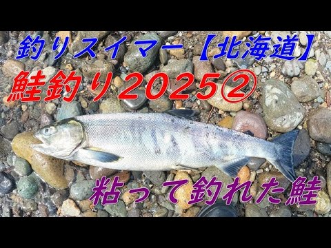 鮭釣り2025②~フカセで粘って釣れた~