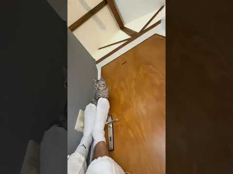 Nick mit Lio schaut mal wie süß #couple #fyp