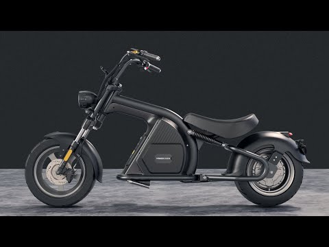 Rooder Runner Citycoco Chopper Electric scooters front wheel installed