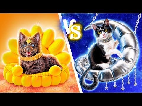 Строим секретные домики для животных! День vs Ночь