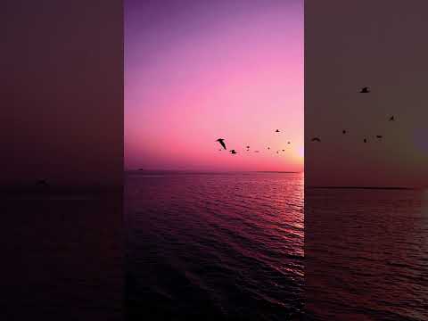 Calm Ocean Waves & Flute Music | Peaceful Sunrise/Sunset Vibes #FluteMusic#RelaxingMusic#CalmMusi