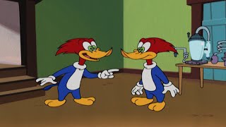 Pica-Pau Faz um Clone Dele Mesmo! | Pica-Pau em Português