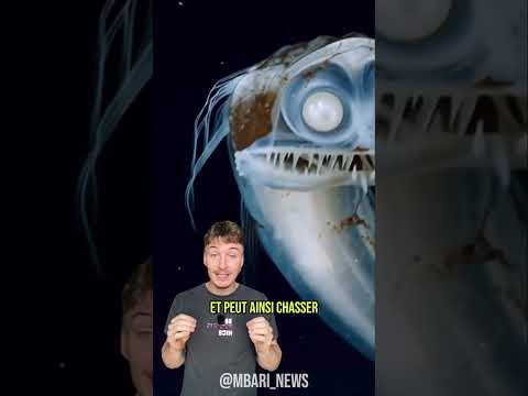 CE POISSON DES ABYSSES VA VOUS TERRIFIER 😳