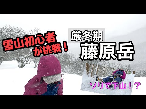 【藤原岳】初めての雪山登山 雪山初心者が藤原岳に挑戦!【登山初心者】