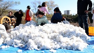 動画サムネイル