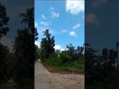 Road trip nanaman🏞️ #nature #naturelovers #naturephotography #travel  #DreamScreenAI