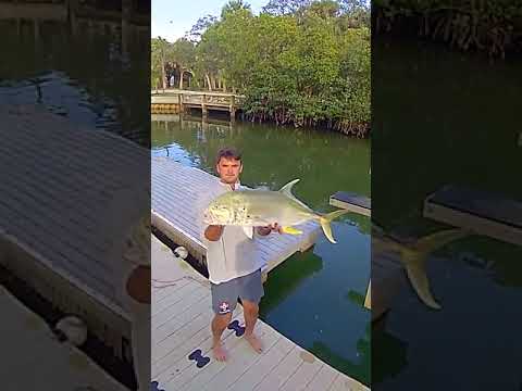 Now that's a catch! #ringdoorbell #fishing #gonefishing #shorts