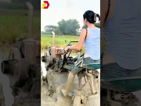 Cô Gái Lái Máy Bừa Siêu Hạng 🚜 | The Ultimate Female Tractor Driver #shorts