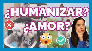 ¡Cuidado! Esto NO es amor para tu perro 🚫🐾 | Adiestramiento Canino