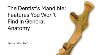 The Dentist's Mandible: Features You Won't Find in General Anatomy
