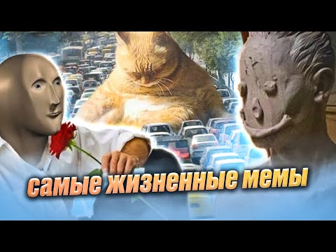 Мемы, которые сделали мой день!