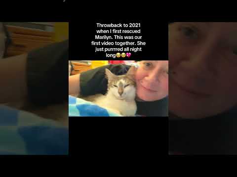 I didn’t rescue her, she rescued me. 🥲   (Volume up 🔊)