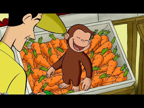 野菜はどこから来るの？ 🐵 おさるのジョージ