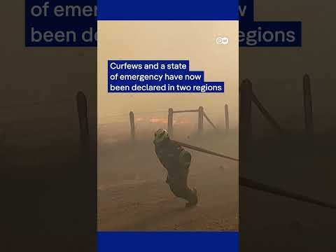 Devastating wildfires in Chile's south exacerbated by strong winds and dry conditions | DW News