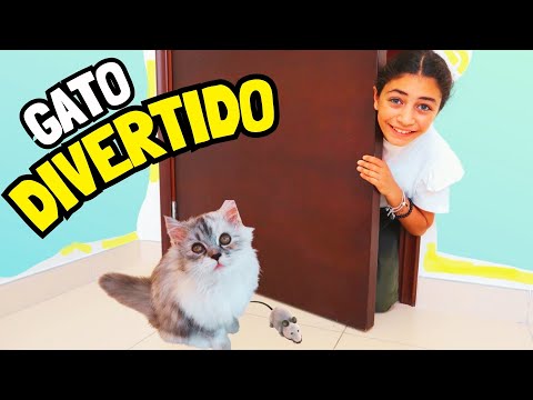 GATO DIVERTIDO! 😹 Momentos graciosos con animales 🤣 Juegos para niños | Heidi y Zidane