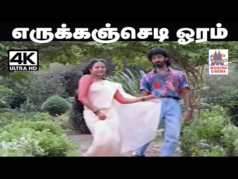 Erukkam Sediyoram S.P.பாலசுப்ரமணியம் S.ஜானகி பாடிய தெம்மாங்கு பாடல்  எருக்கஞ்செடி ஓரம்