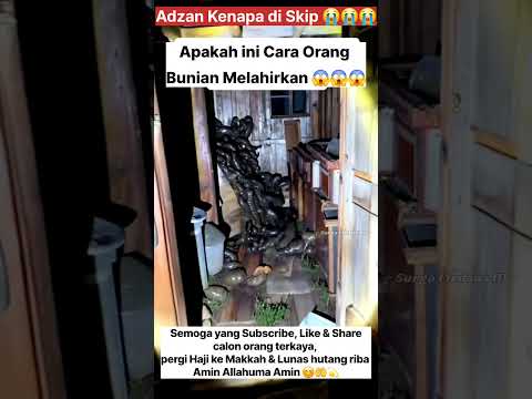 Allah is the Greatest 🤲#fyp #trending #shorts #foryou #viralvideo #beranda #masukberanda #shortsfeed