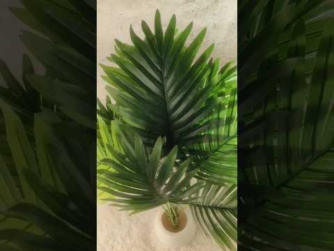 Meesho Finds💕 #youtubeshorts#meeshofinds#meesho#artificialplants#home#homedecor#viral#shorts