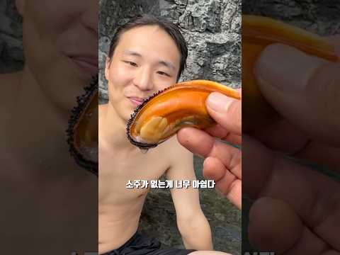 울릉도 대왕돌담치 잡아묵기