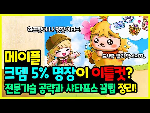 [메이플] 크뎀 5% 명장이 이틀컷?👻 뉴비들을 위한 🎈 장인, 명장 시스템과🌊 스페셜 선데이 총정리하기🚀(미라클 샤타포스도 있어요!)