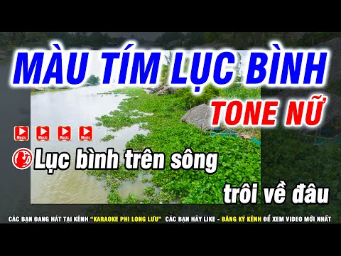 Karaoke Màu Tím Lục Bình – Nhạc Sống Tone Nữ ( Em ) Karaoke Phi Long