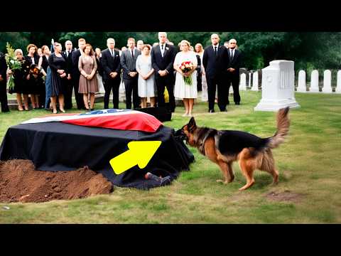 They Opened a Coffin Because of a Dog's Bark - What They Found Inside Will Shock You!
