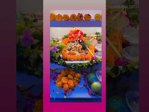 ####merekanha ###cute ###koinhi